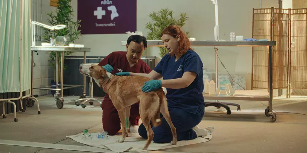 Working with other rescues